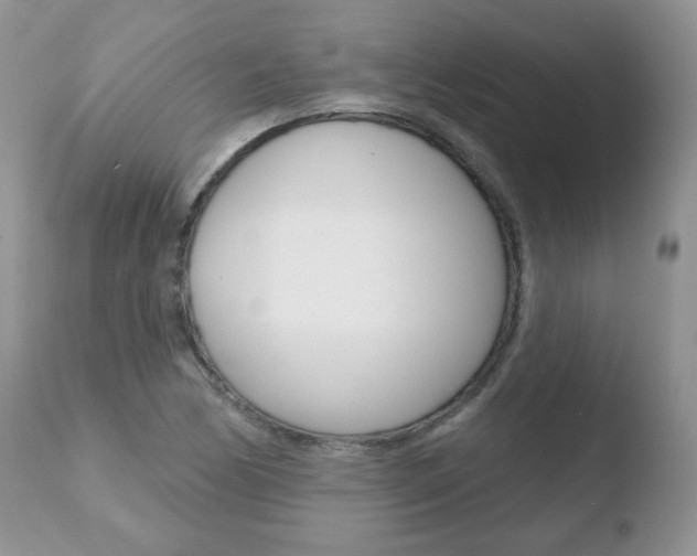X0000110761170200906150923