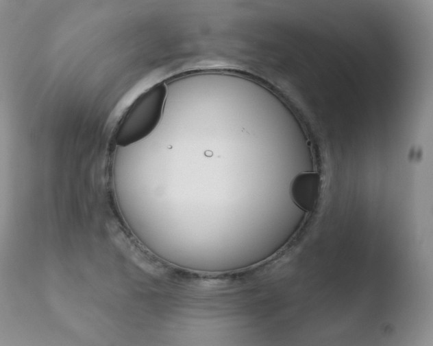 X0000110761173200906150923