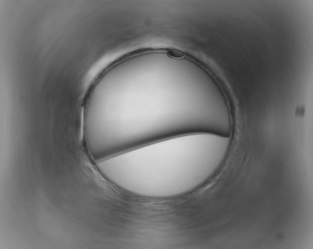 X0000110761175200906150923