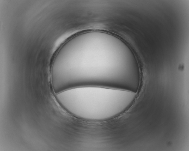 X0000110761176200906150923