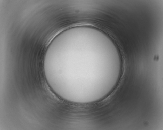 X0000110761177200906150923