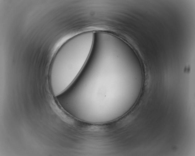 X0000110761179200906150923