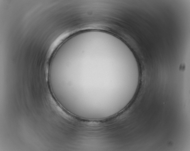 X0000110761180200906150923
