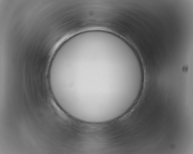 X0000110761181200906150923