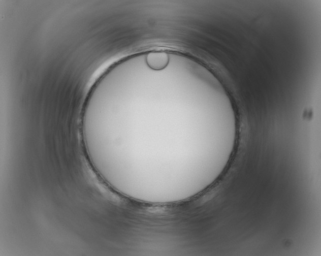 X0000110761182200906150923