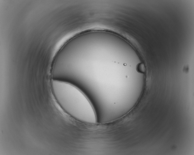X0000110761183200906150923
