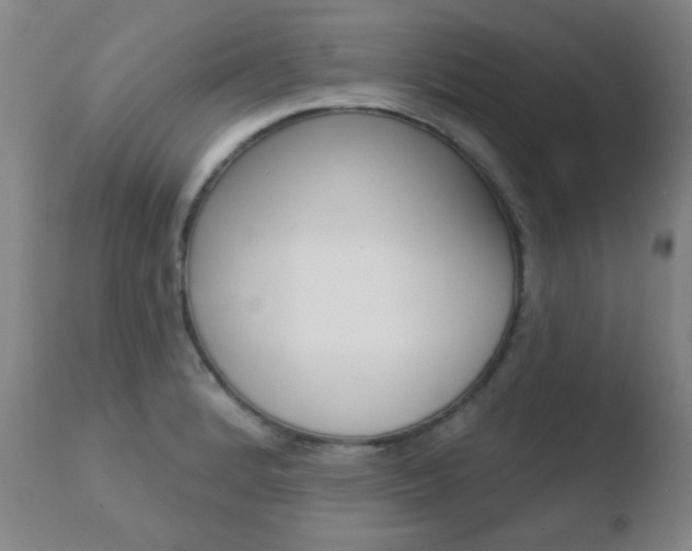 X0000110761184200906150922