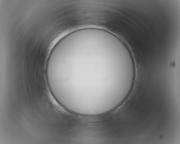 X0000110761189200906150922