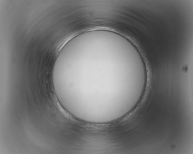 X0000110761193200906150922