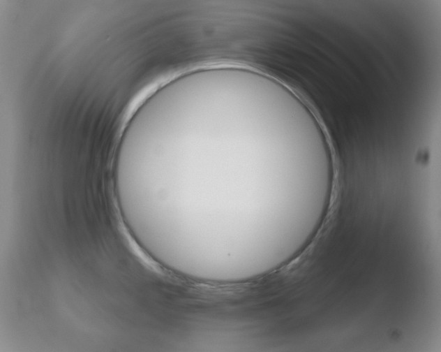 X0000110761197200906150922