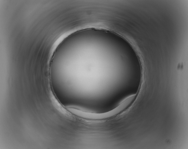 X0000110761200200906150922