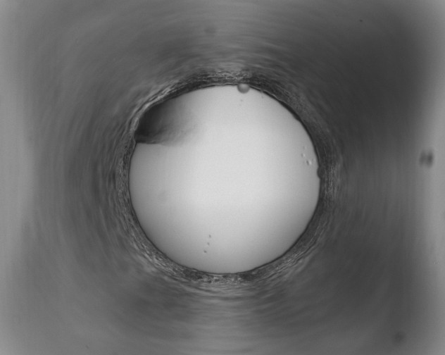 X0000110761201200906150922