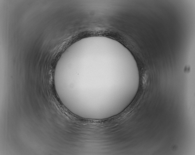 X0000110761204200906150922