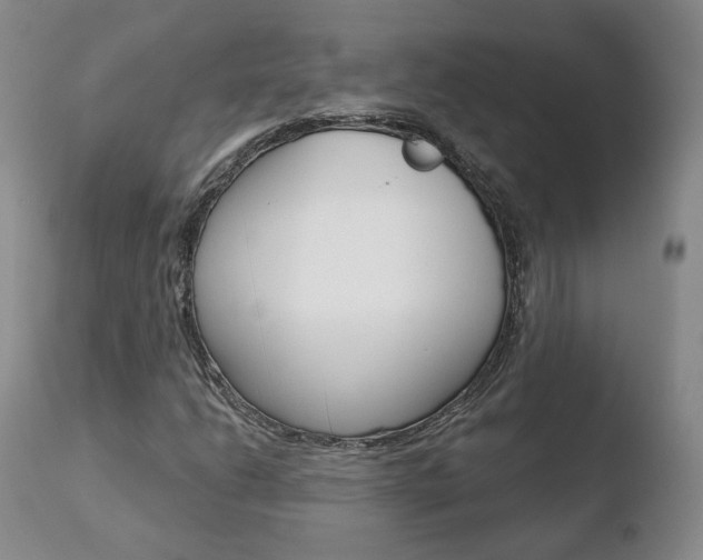 X0000110761206200906150922