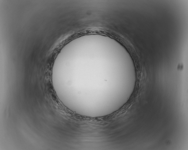 X0000110761207200906150922