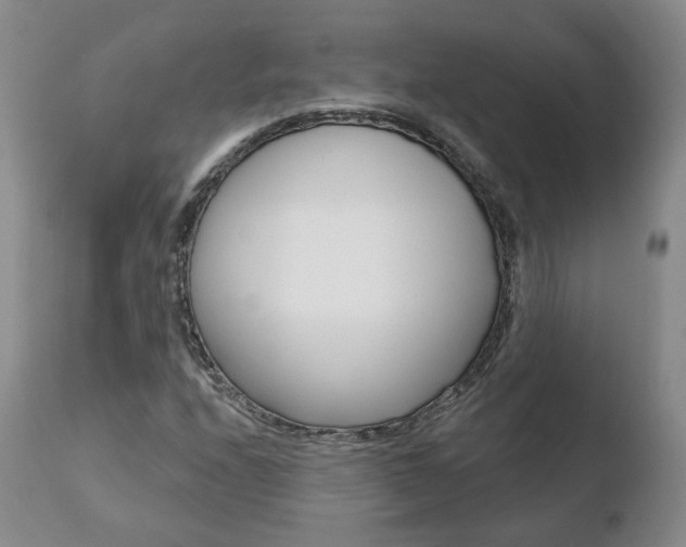 X0000110761208200906150922