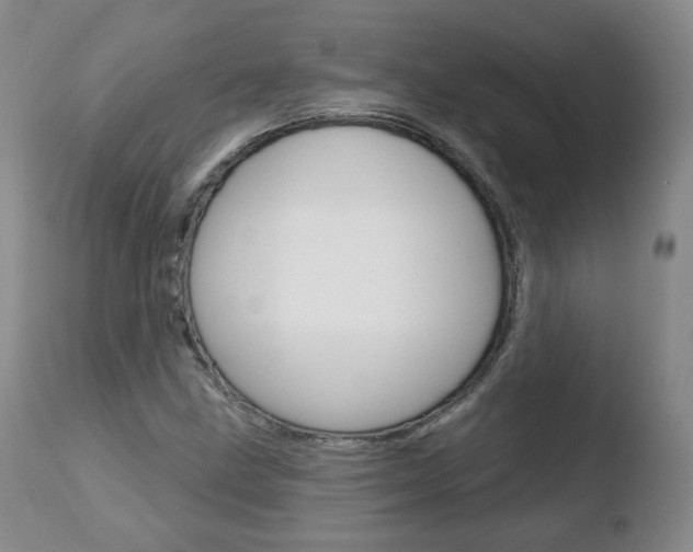 X0000110761211200906150922
