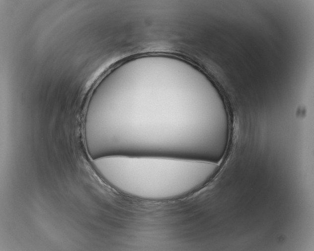 X0000110761212200906150922