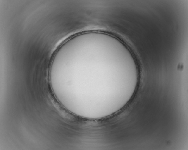 X0000110761220200906150922