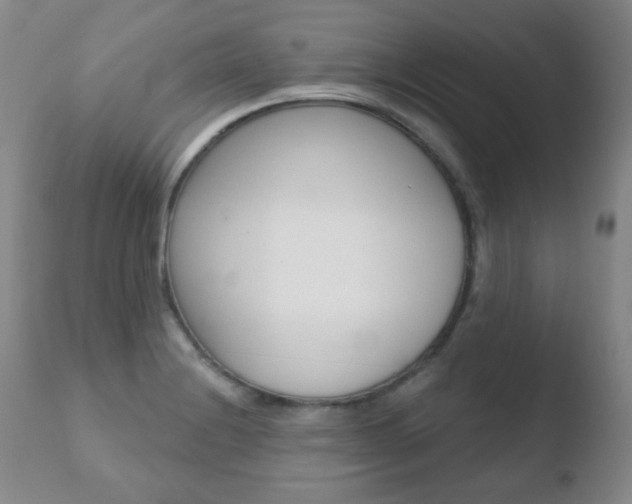 X0000110761228200906150922