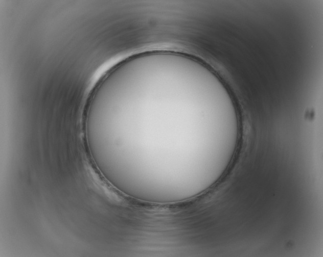 X0000110761230200906150922