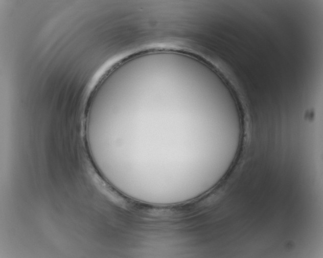 X0000110761232200906150922