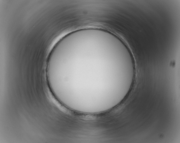 X0000110761235200906150922