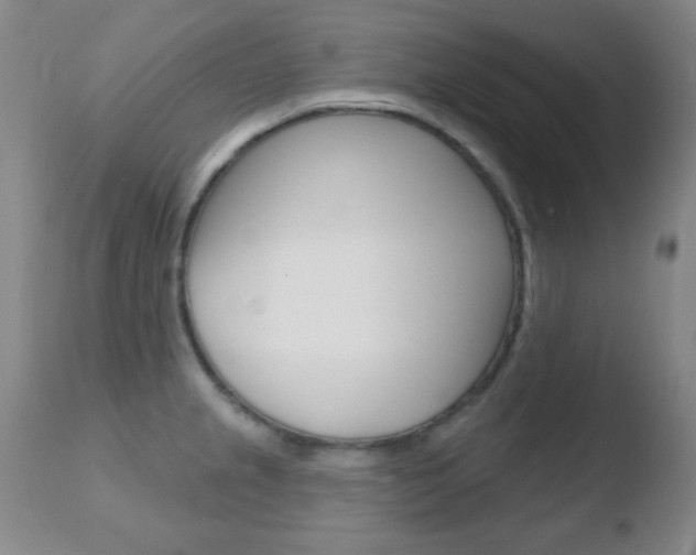 X0000110761237200906150922