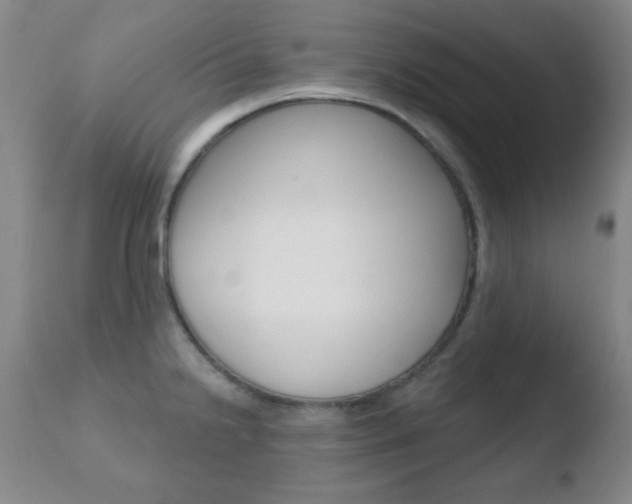 X0000110761238200906150922