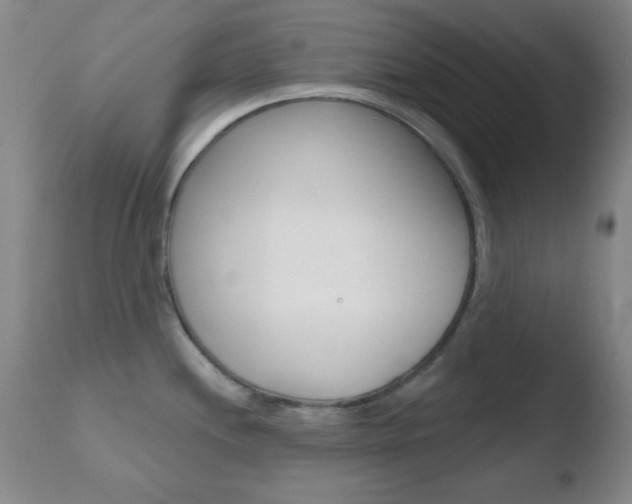 X0000110761244200906150922