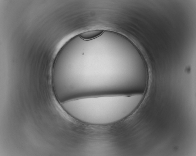 X0000110761246200906150922