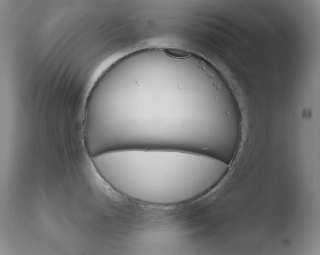 X0000110761248200906150922