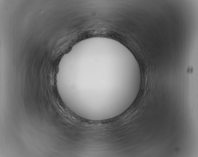 X0000110761250200906150921
