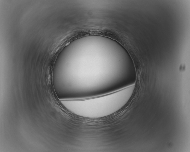 X0000110761252200906150921