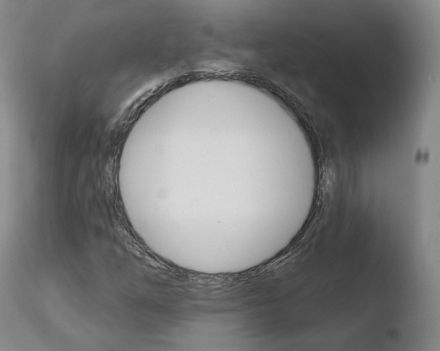 X0000110761254200906150921
