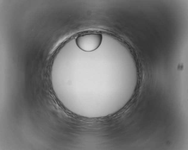 X0000110761256200906150921