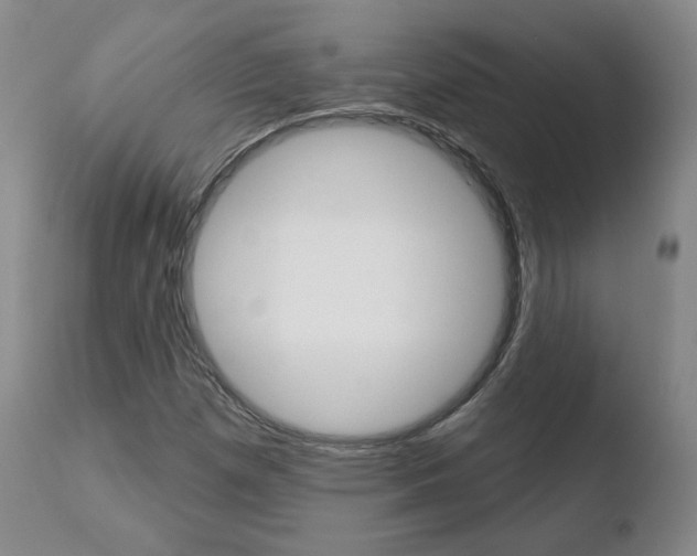 X0000110761257200906150921