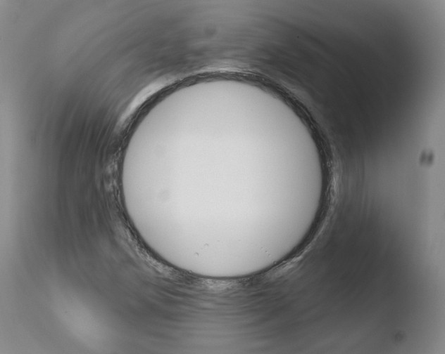 X0000110761258200906150921