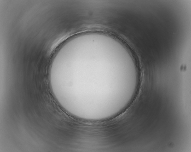 X0000110761261200906150921
