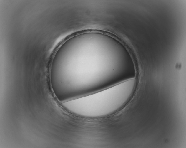 X0000110761264200906150921