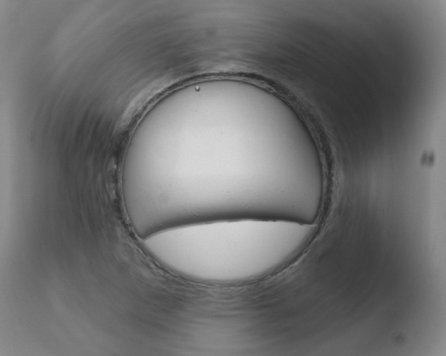 X0000110761265200906150921