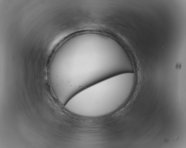 X0000110761267200906150921