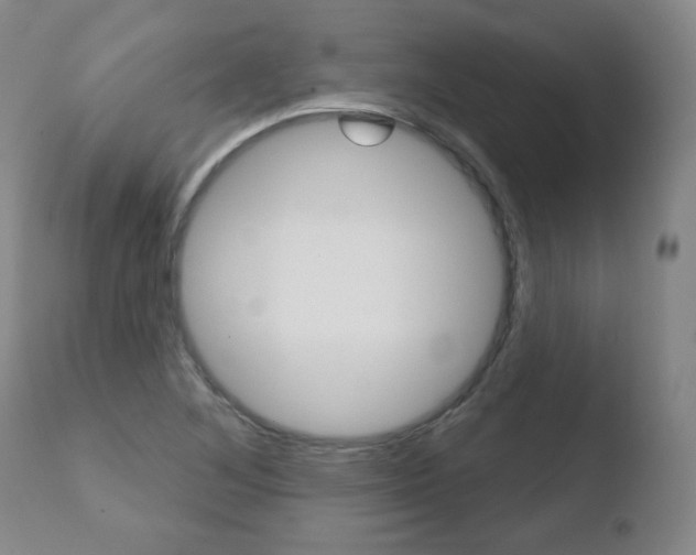 X0000110761268200906150921