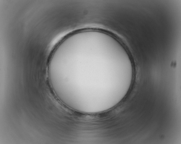 X0000110761271200906150921