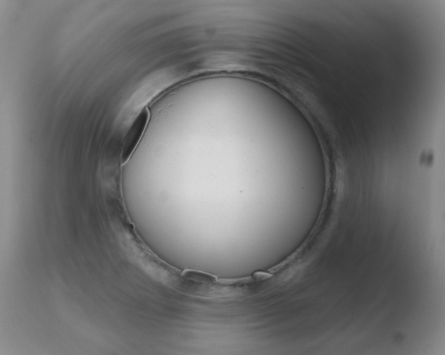 X0000110761273200906150921
