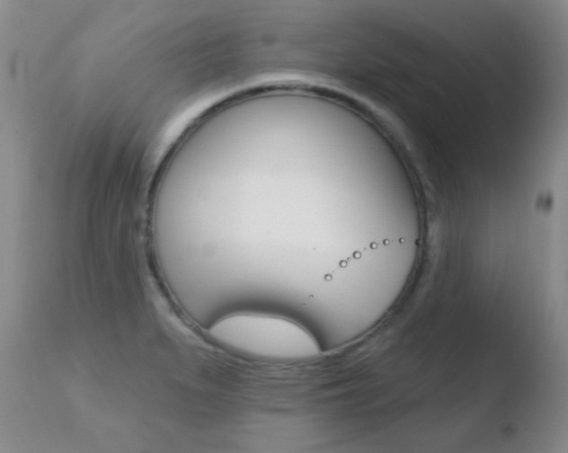X0000110761279200906150921