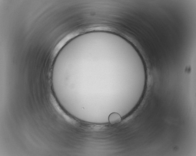 X0000110761282200906150921