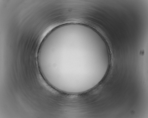 X0000110761283200906150921