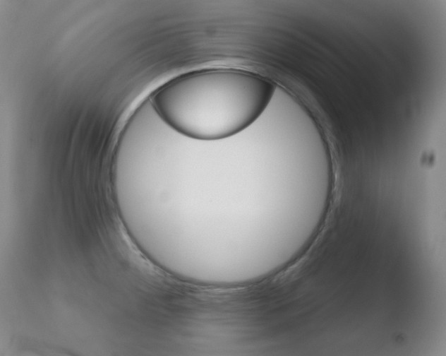 X0000110761284200906150921