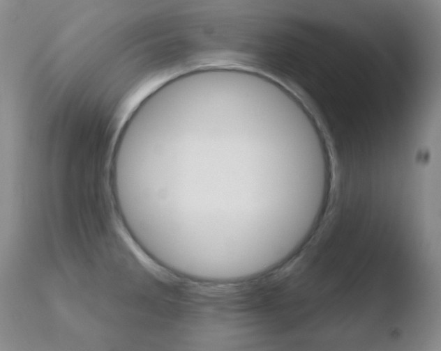 X0000110761285200906150921